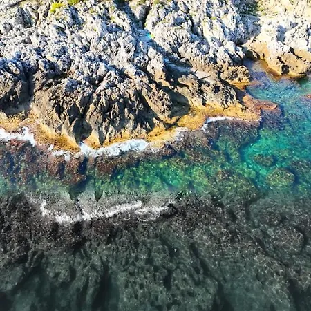 Verosicily Aspra * בגרייה